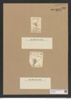 Triceratium pileus Ehr. (de-Toni-Nr.: Genus 140, Species 3833) Zeichnungen Sammlung Grunow Nr. 7331 (NHMW-BOT-W0376373)